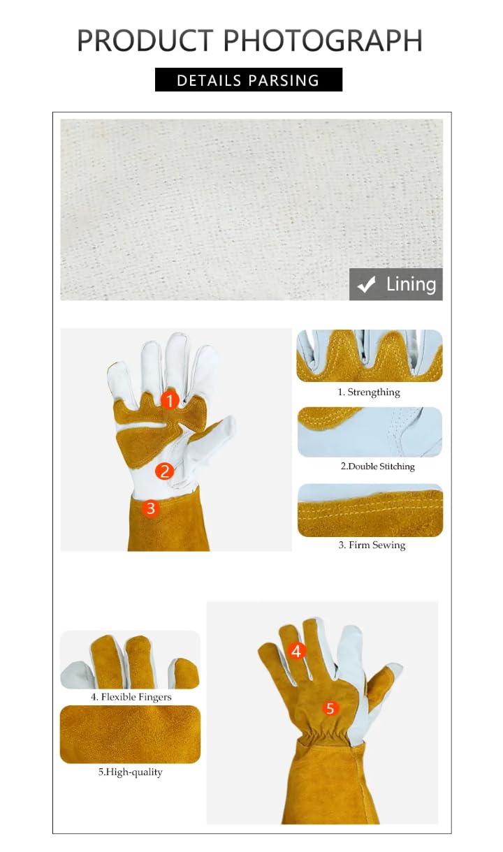 Safe Dog and Reptile Handling