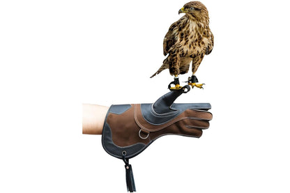 Leather Falconry 16 Inch Animal Handling Gloves for Dog Bite, Cat, Snake, Welding, Gardening, Beekeeping & Heat Resistance