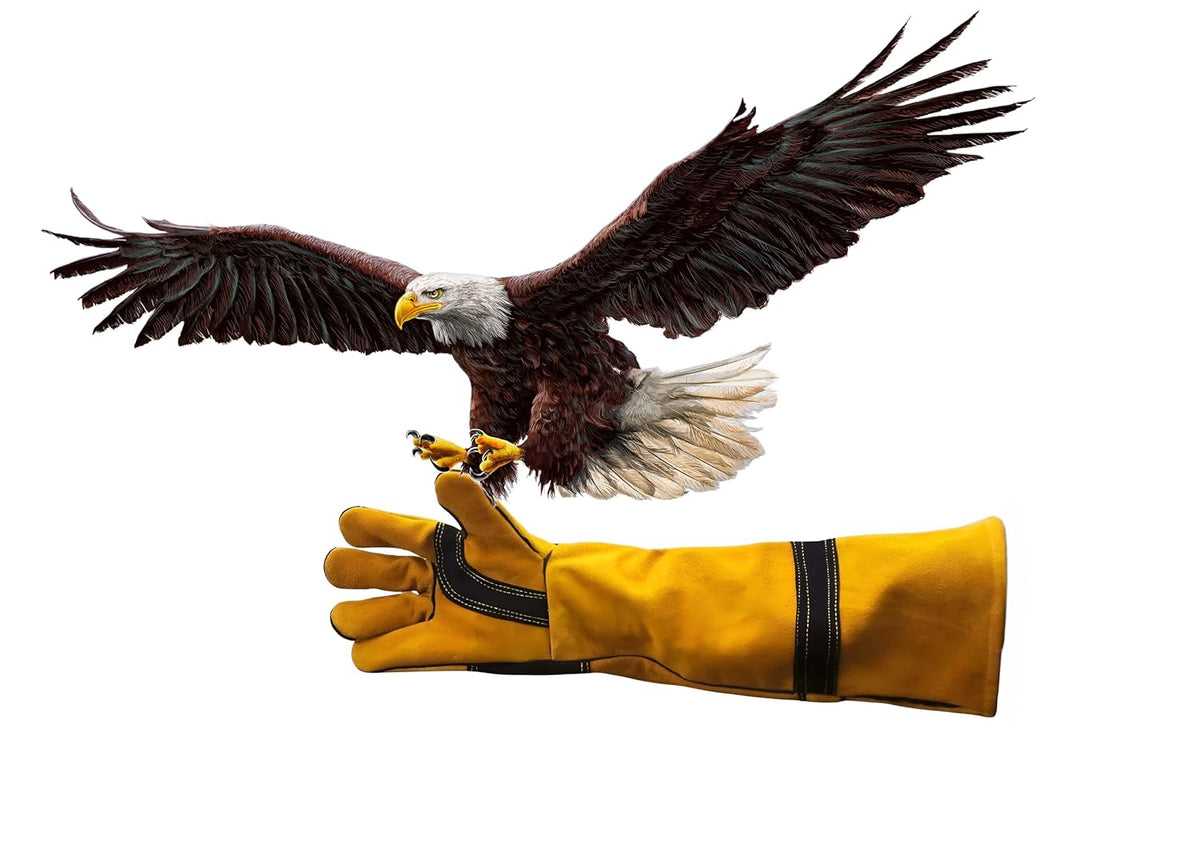 HANMECH leather falconry gloves for eagle bird handling and hand protection