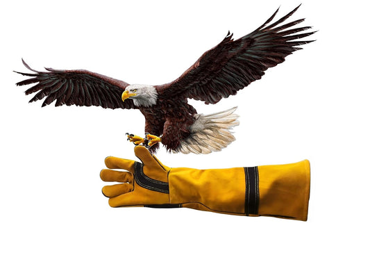 HANMECH leather falconry gloves for eagle bird handling and hand protection
