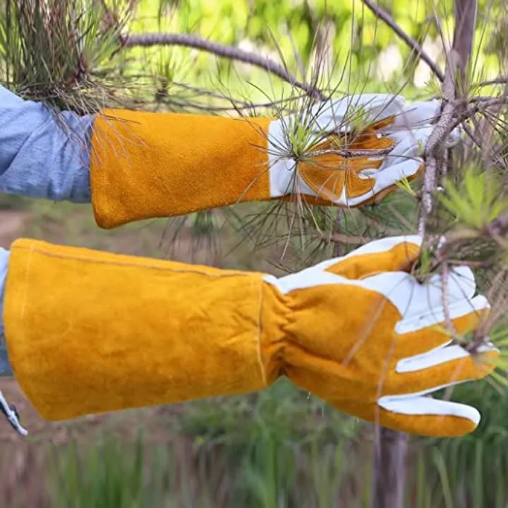 Durable Animal Handling Safety Gloves for Professional Pet and Animal Care